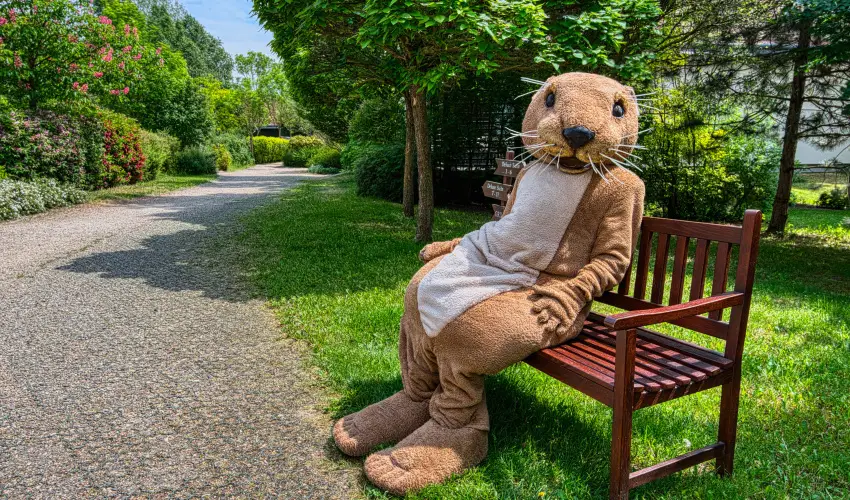 Tisza Balneum Hotel Tiszaf�red - T�li sz�net (min. 2 �j)