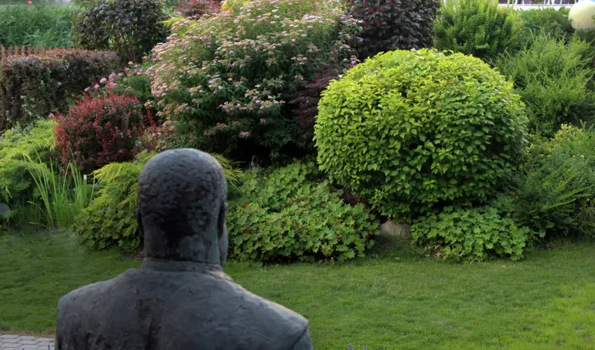 T Wellness Hotel Bnk - Egy jszaks wellness flpanzival