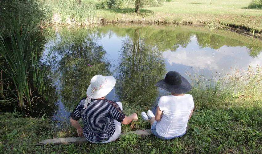 T Wellness Hotel Bnk - Egy jszaks wellness flpanzival