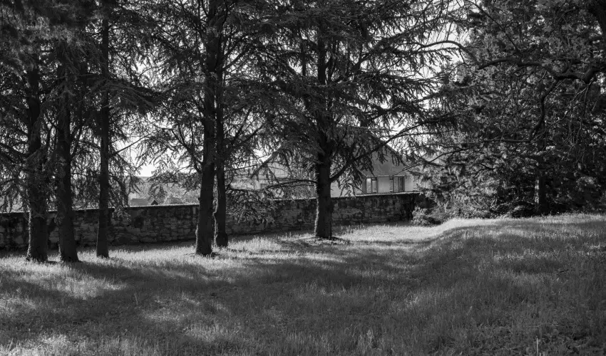 T�nd�rkert Hotel Noszvaj - Kedvezm�nyes �r csal�dok r�sz�reak f�lpanzi�s ell�t�ssal