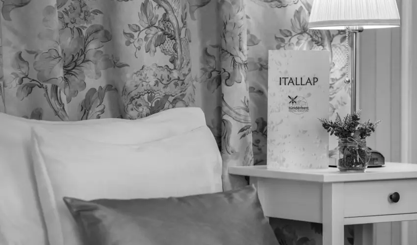 T�nd�rkert Hotel Noszvaj - Kedvezm�nyes �r csal�dok r�sz�reak f�lpanzi�s ell�t�ssal