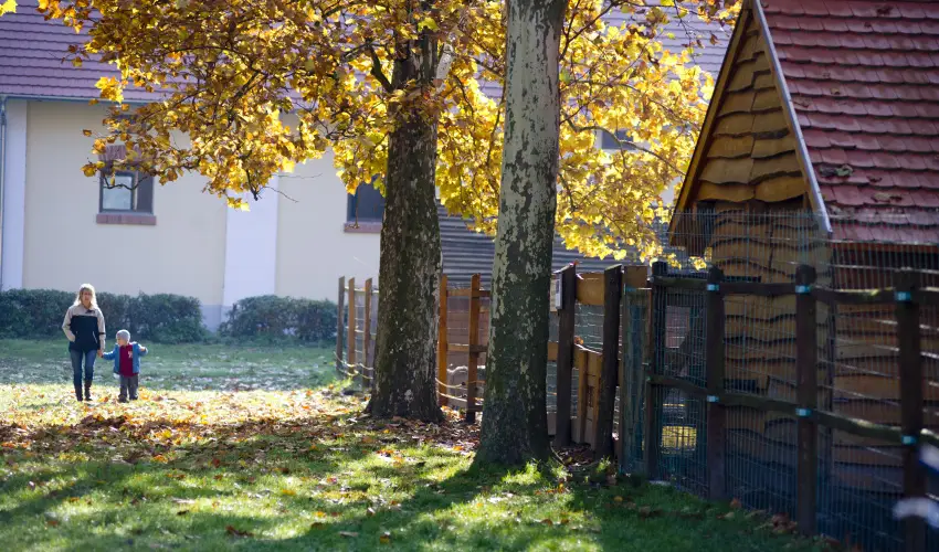 Vadkert Major Srvr - Kedvezmnyes r csaldok rszreak reggelis elltssal (1 jtl)