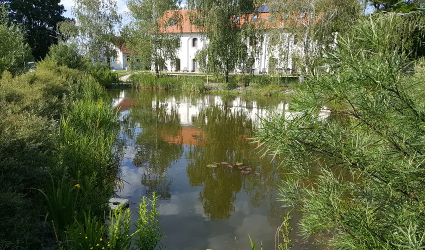 Vadkert Major Srvr - Kedvezmnyes r csaldok rszreak reggelis elltssal (1 jtl)