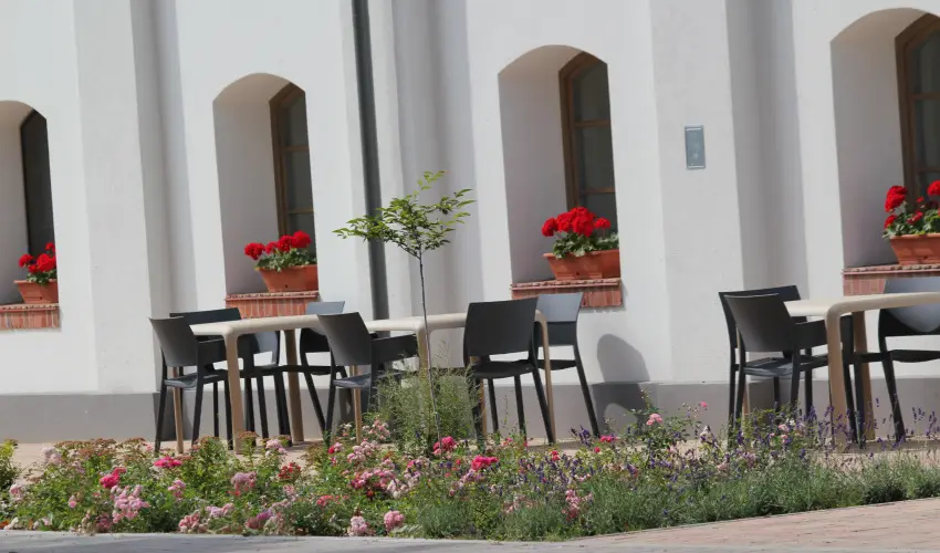 Vadkert Major Srvr - Kedvezmnyes r csaldok rszreak reggelis elltssal (1 jtl)