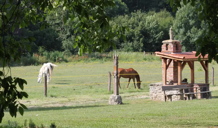 Vadkert Major Srvr - Kedvezmnyes r csaldok rszreak reggelis elltssal (1 jtl)