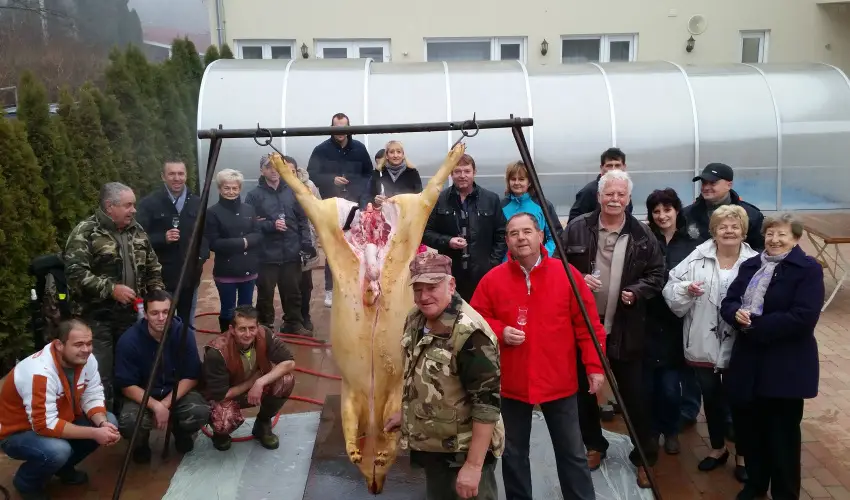 Viktor Bor- �s Vend�gh�z Balatonm�riaf�rd� - Kedvezm�nyes csomag (min. 2 �j)