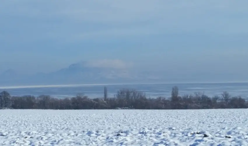 Viktor Bor- �s Vend�gh�z Balatonm�riaf�rd� - Kedvezm�nyes csomag (min. 2 �j)