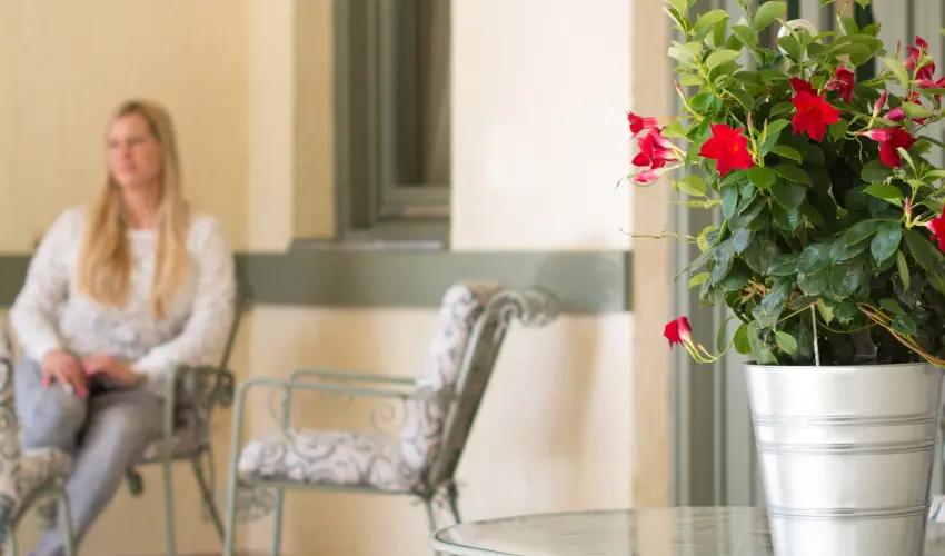 Villa Oliva Boutique Rooms Zam�rdi - Kedvezm�nyes �r csal�dok r�sz�reak reggelis ell�t�ssal (1 �jt�l)