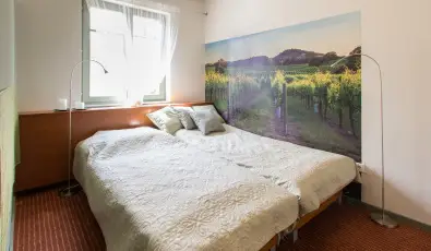 Villa Oliva Boutique Rooms Zam�rdi