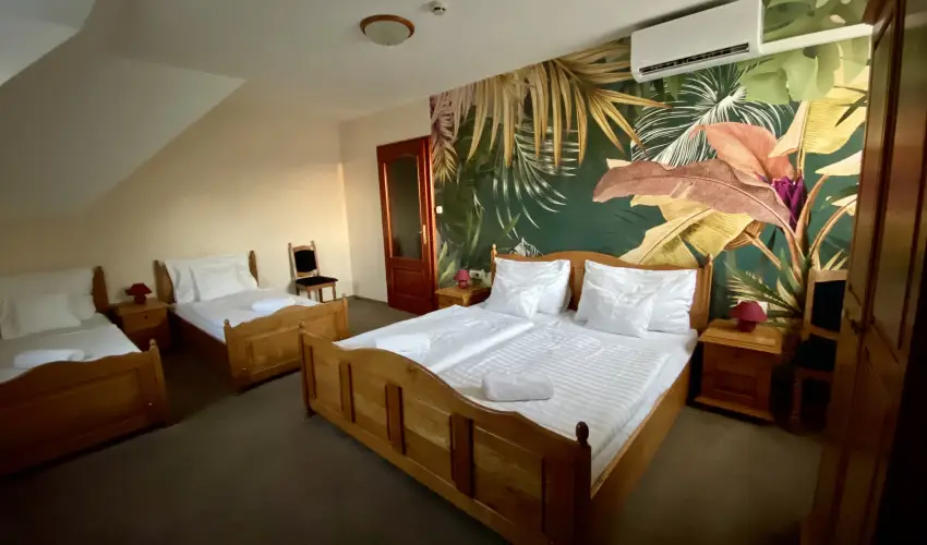 Hotel Villa Park Szilv�sv�rad - Kedvezm�nyes �r csal�dok r�sz�reak reggelis ell�t�ssal (1 �jt�l)