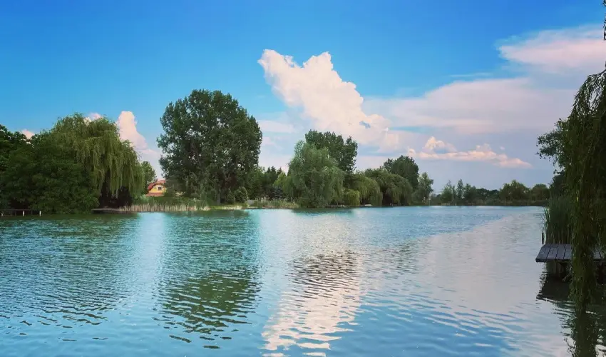 Vir�g �d�l�h�z Szarvas - Kedvezm�nyes �r csal�dok r�sz�reak (1 �jt�l)