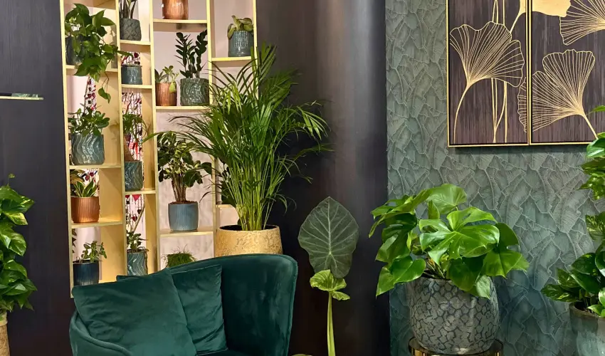 Hotel Wellamarin Zamrdi - Wella's Eve a PartOn Bisztrban (4 jszaka)