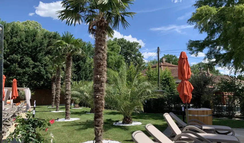 Wellness Hotel Gyula Gyula - 2 éjszakás wellness kikapcsolódás (min. 2 éj)