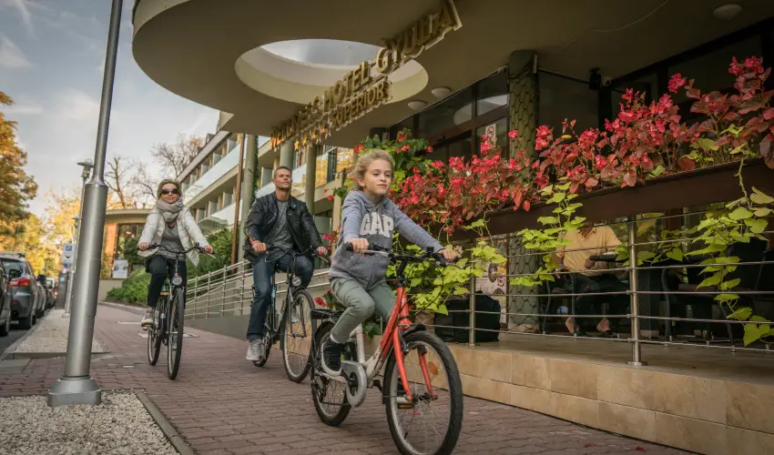 Wellness Hotel Gyula Gyula - 2 éjszakás wellness kikapcsolódás (min. 2 éj)