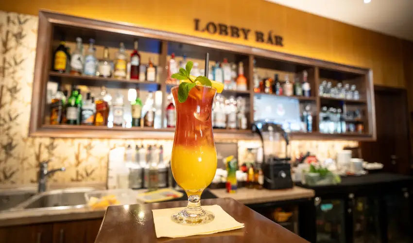 Wellness Hotel Gyula Gyula - Kedvezm�nyes �r csal�dok r�sz�re (1 �jt�l)