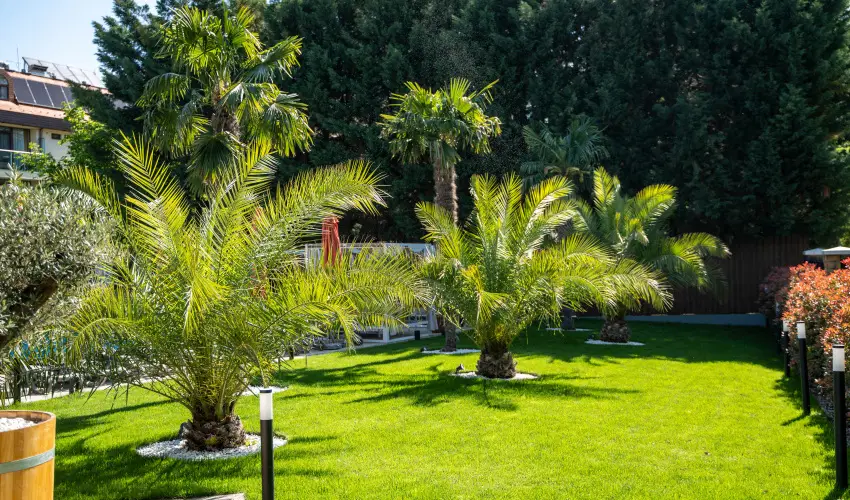 Wellness Hotel Gyula Gyula - Kedvezm�nyes �r csal�dok r�sz�re (1 �jt�l)