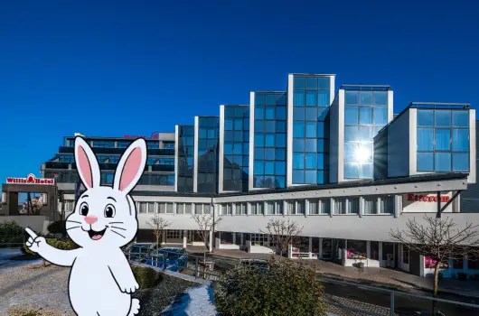 Willis Hotel Business & Wellness - H�sv�ti felfriss�l�s f�lpanzi�val (min. 2 �j)