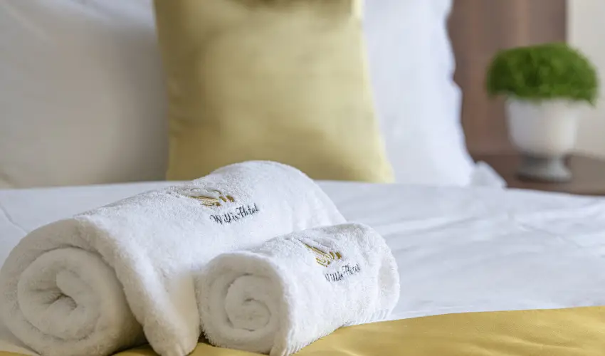 Willis Hotel Business & Wellness Zalaegerszeg - Kedvezmnyes r csaldok rszreak flpanzis elltssal (1 jtl)