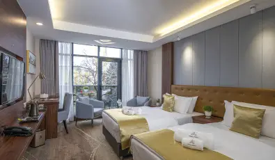 Willis Hotel Business & Wellness Zalaegerszeg