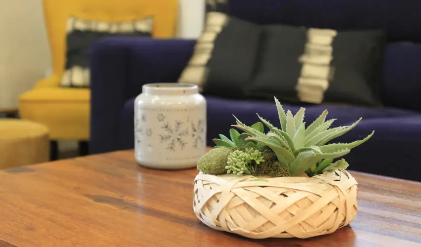 Zenit Panzi Miskolctapolca - Kedvezmnyes r csaldok rszreak (1 jtl)