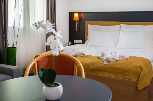 Zsry Liget Hotel & Spa - Kedvezmnyes ajnlat (min. 2 j)