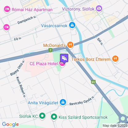 CE Plaza Hotel a trkpen