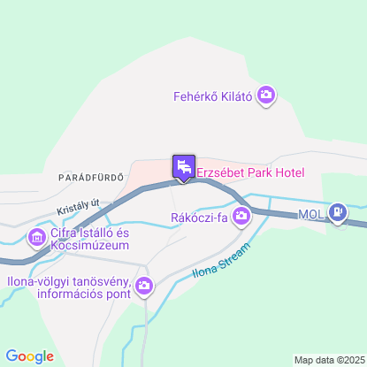 Erzs�bet Park Hotel a t�rk�pen