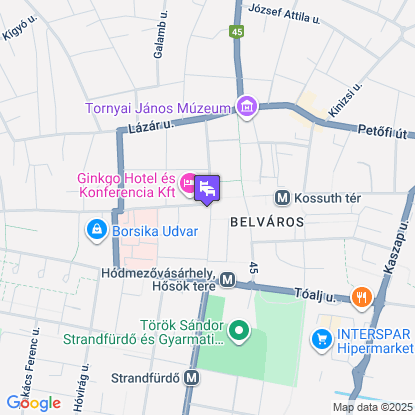 Hotel Ginkgo a trkpen