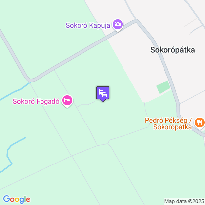 Sokor Fogad a trkpen